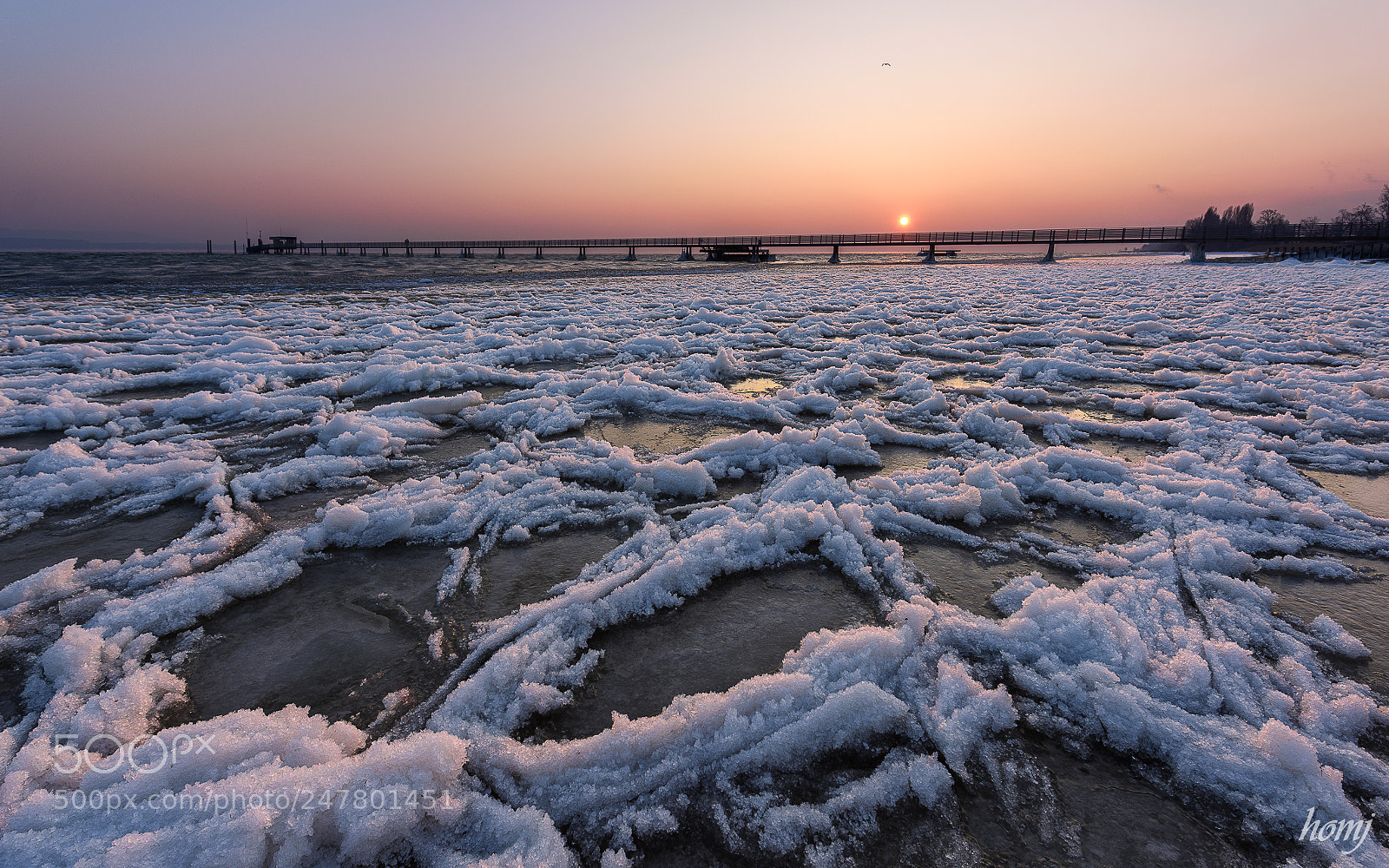 Nikon D810 sample photo. "cold morning" photography