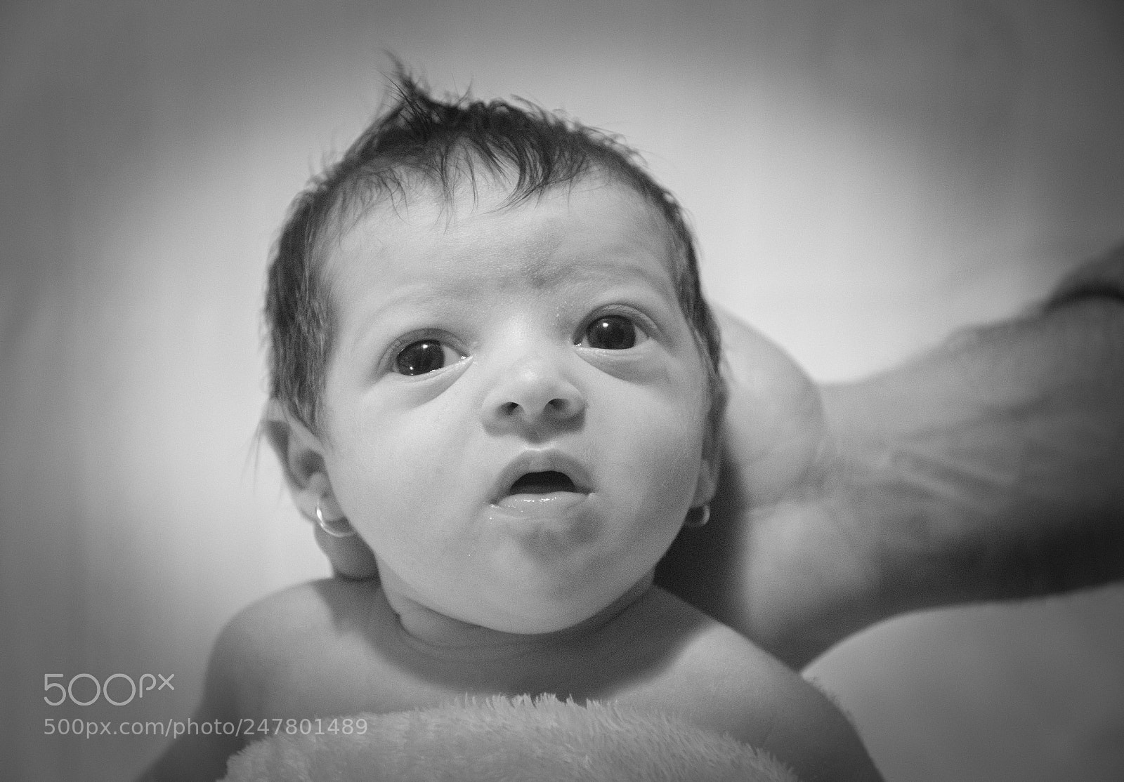 Nikon D5100 sample photo. Untitled photography