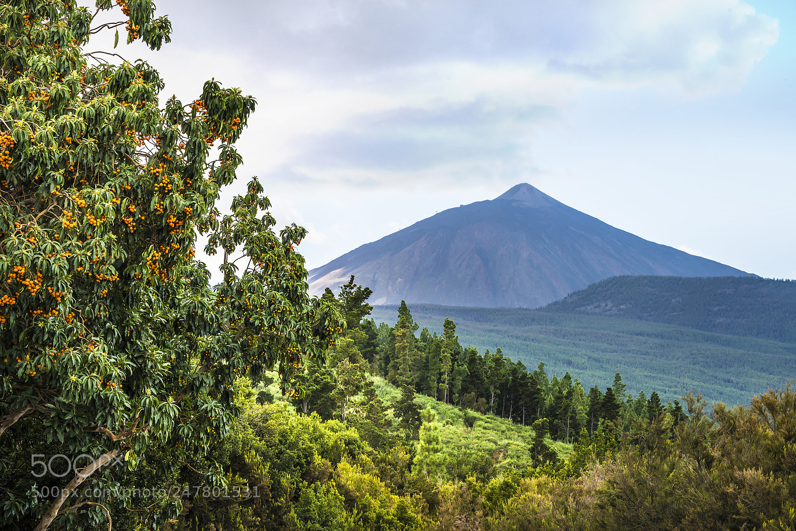 Nikon D800 sample photo. Red volcanic rocks. layered photography