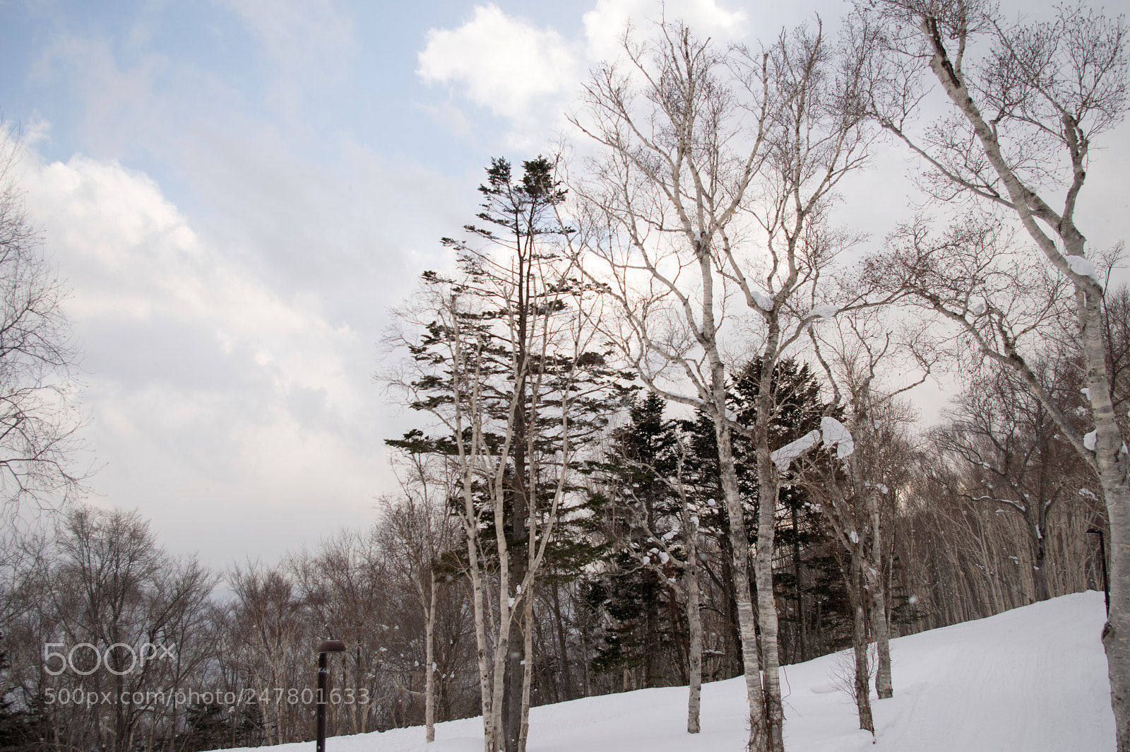 Pentax KP sample photo. Untitled photography