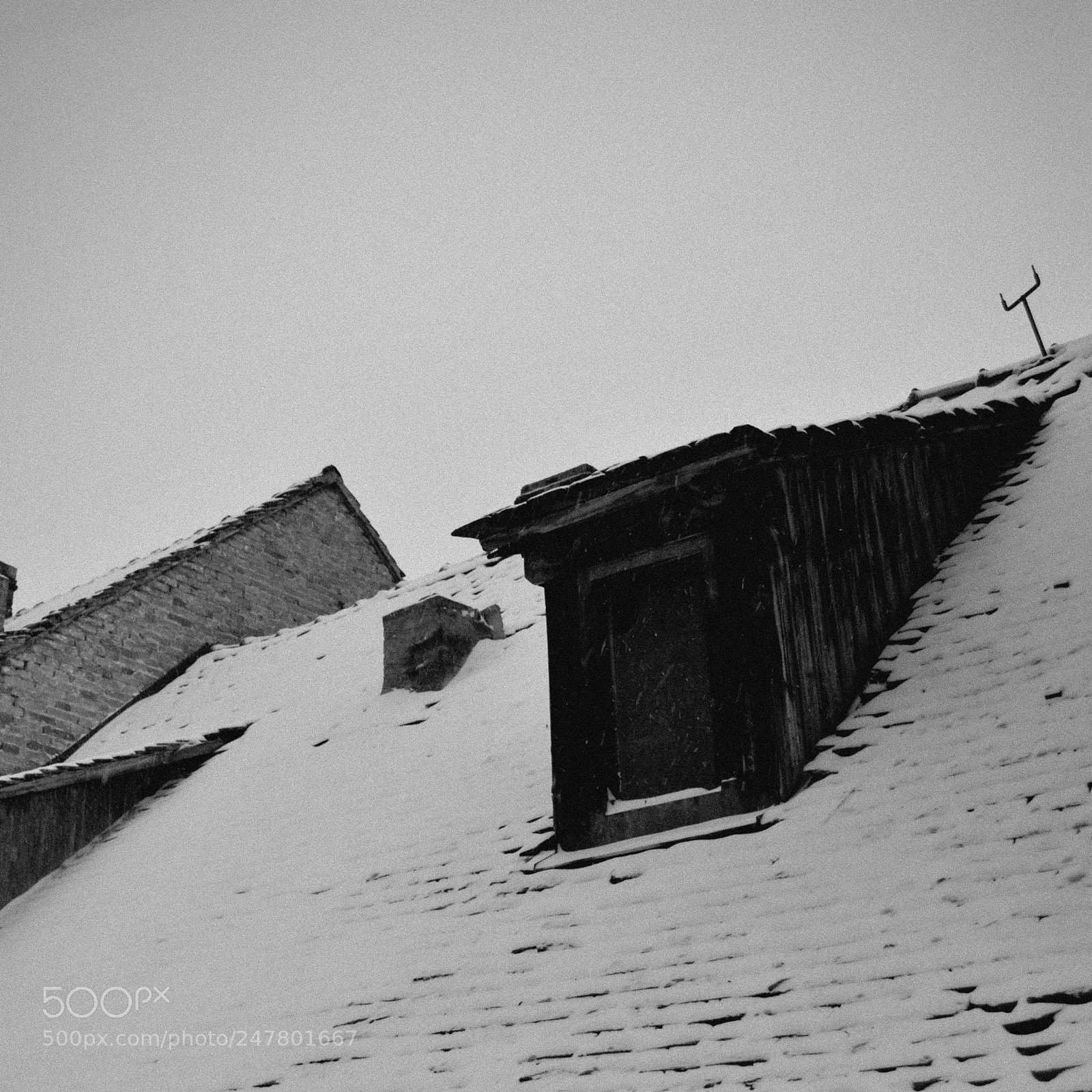 Nikon D3100 sample photo. Roof tops covered with photography