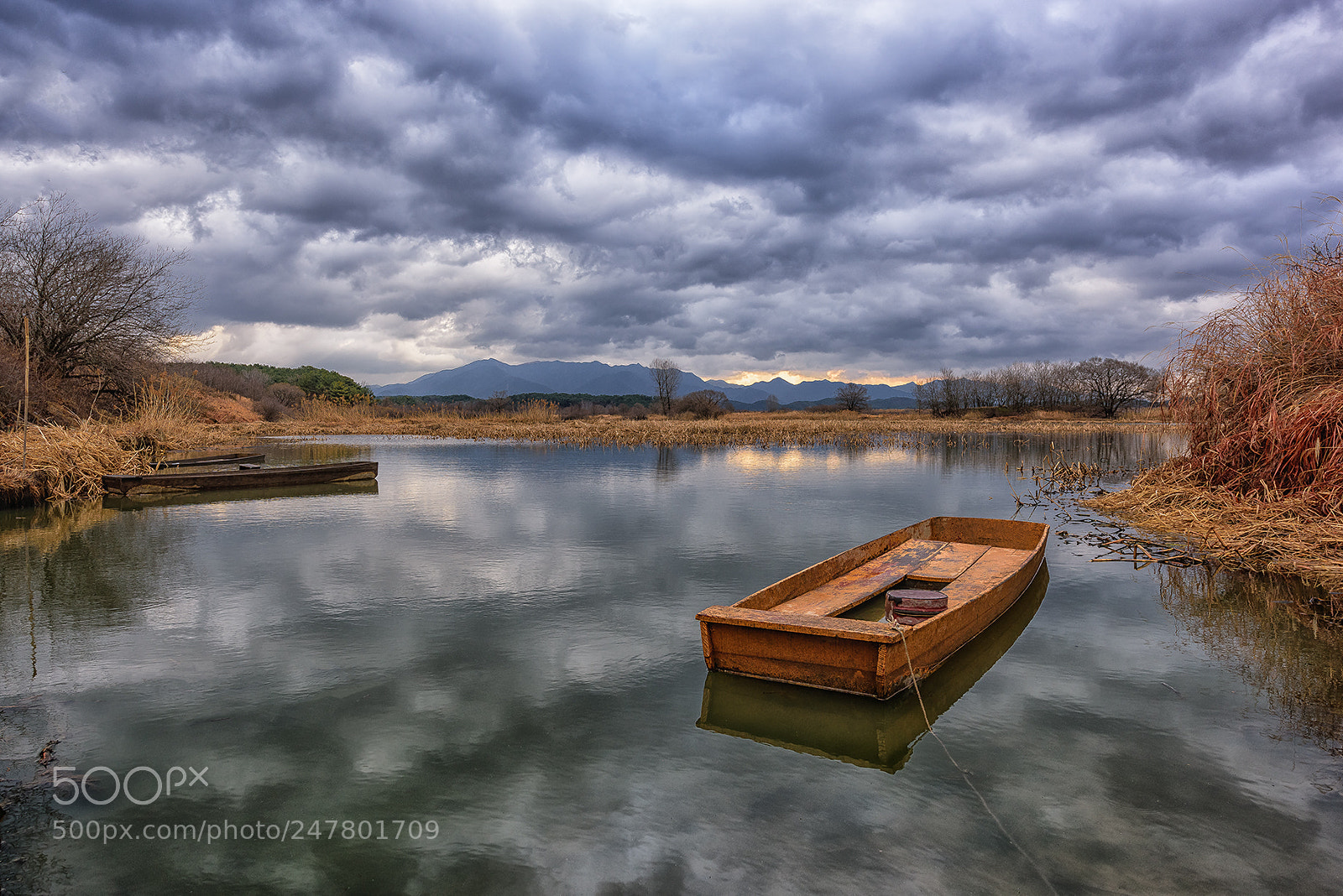 Nikon D810 sample photo. Waiting for ... photography