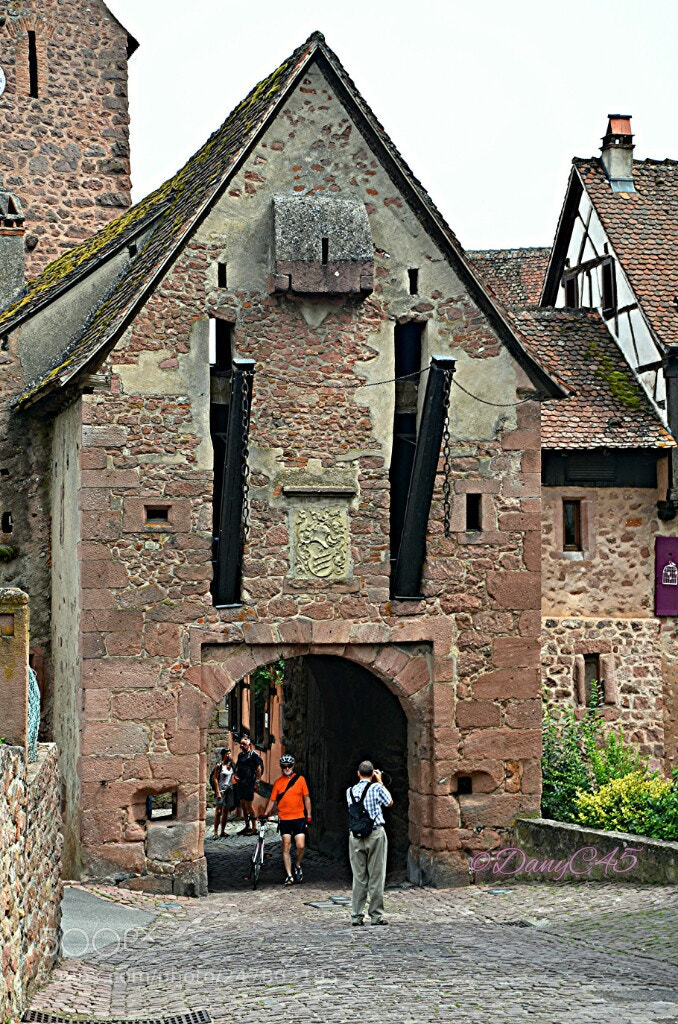 Nikon D5100 sample photo. Alsace (2) photography