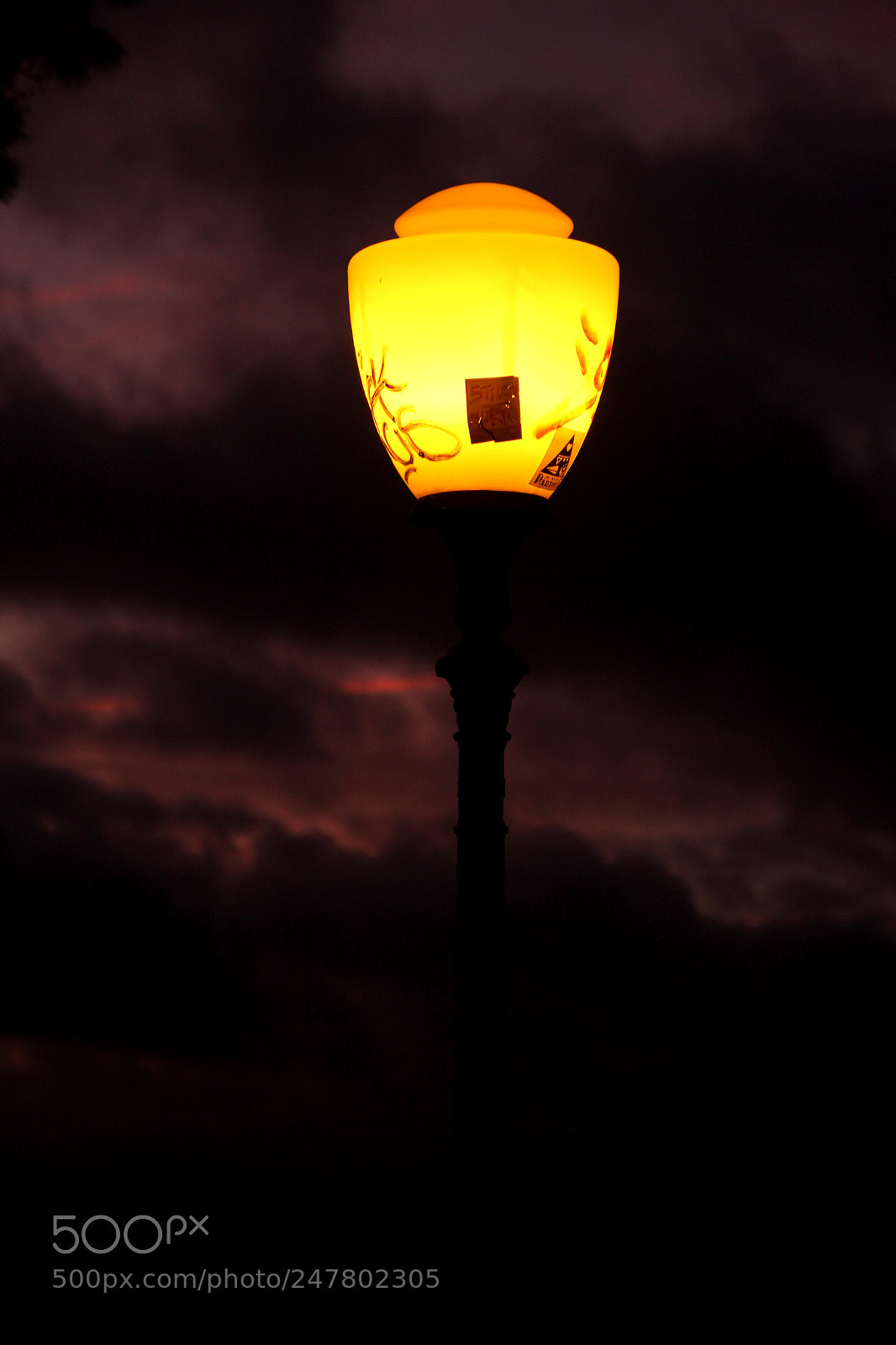 Canon EOS 60D sample photo. Untitled photography