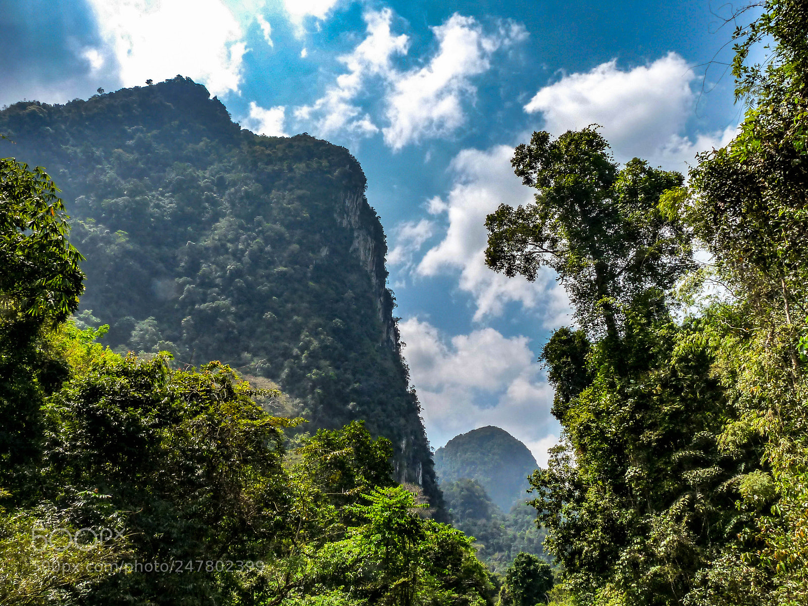 Panasonic Lumix DMC-FZ28 sample photo. Khao sok nationalpark photography