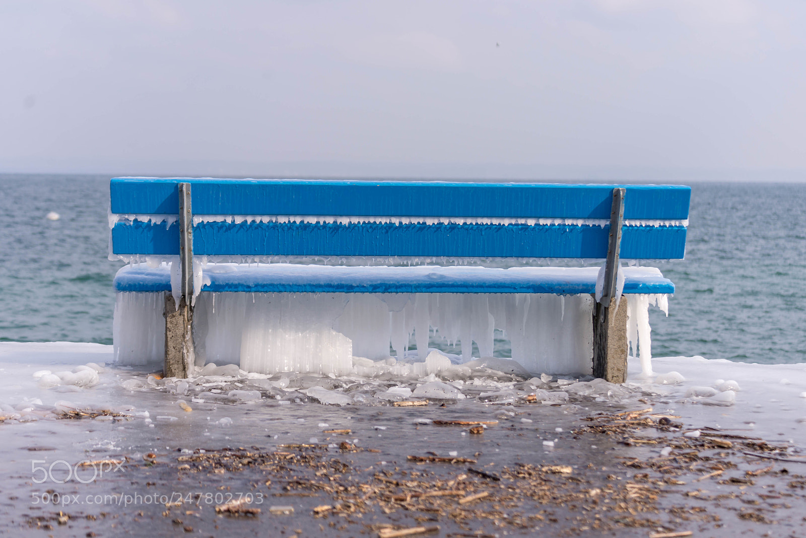 Nikon D610 sample photo. Cold winter photography