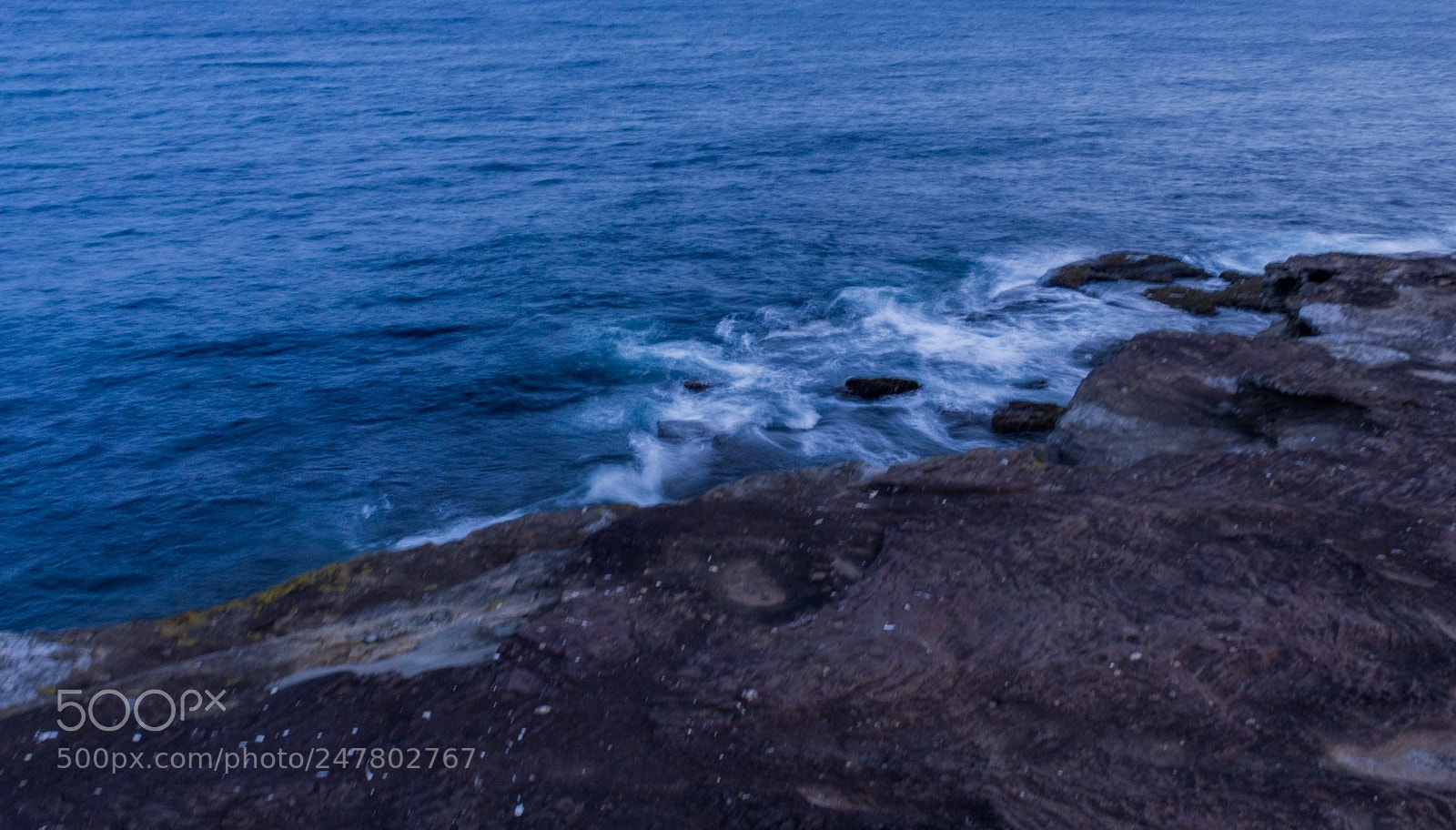 Nikon D3100 sample photo. Ocean things photography