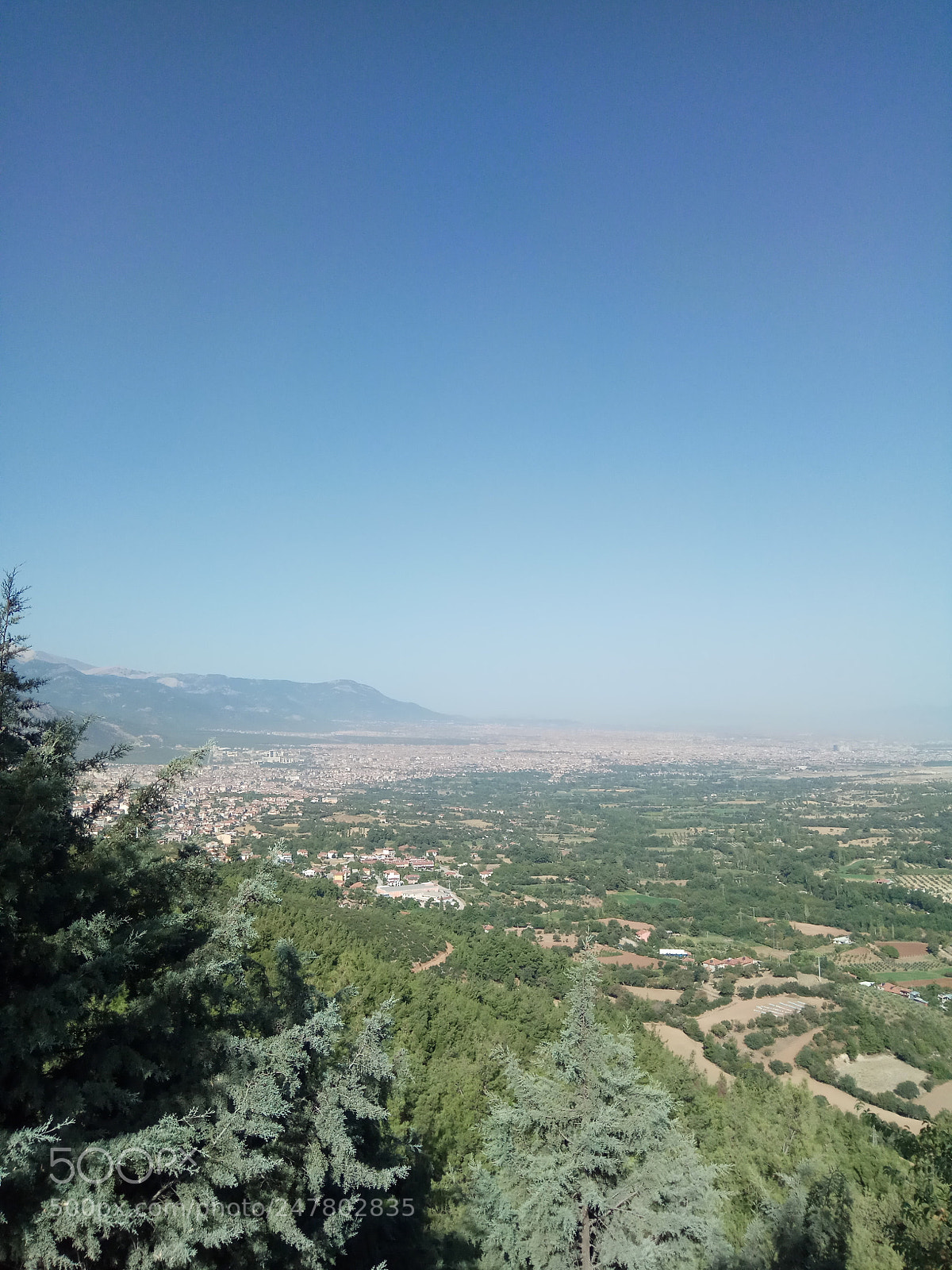 Xiaomi Redmi Note 4 sample photo. Untitled photography