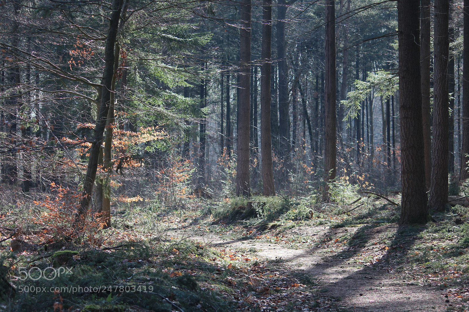 Canon EF-S 55-250mm F4-5.6 IS II sample photo. Landscape photography