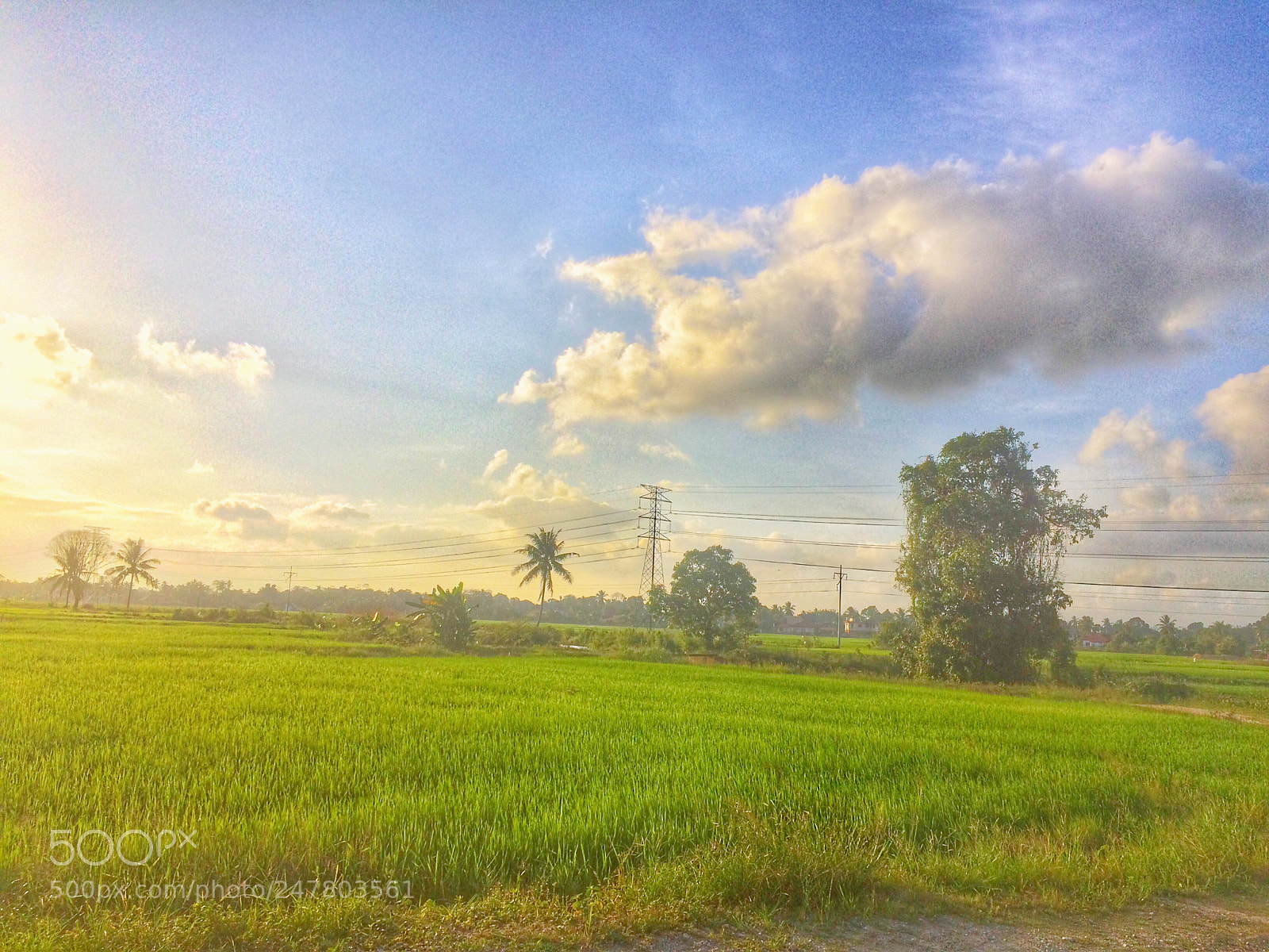 Apple iPhone 5s sample photo. Untitled photography