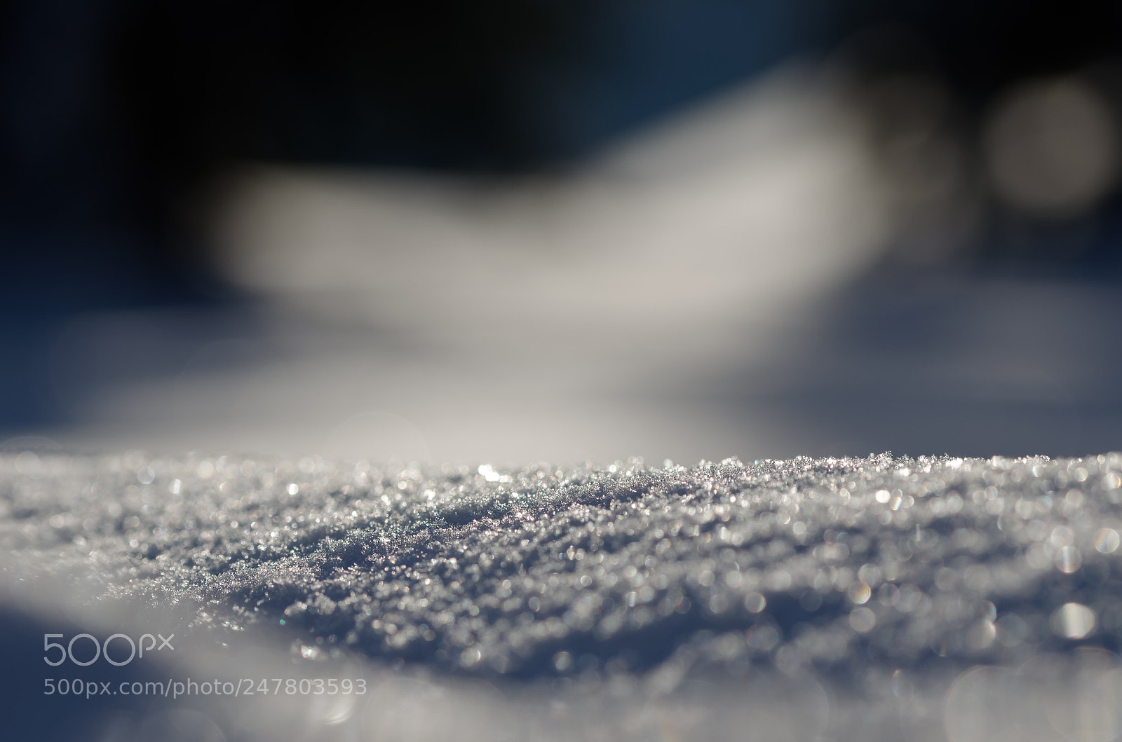 Nikon D5100 sample photo. Frozen snow photography