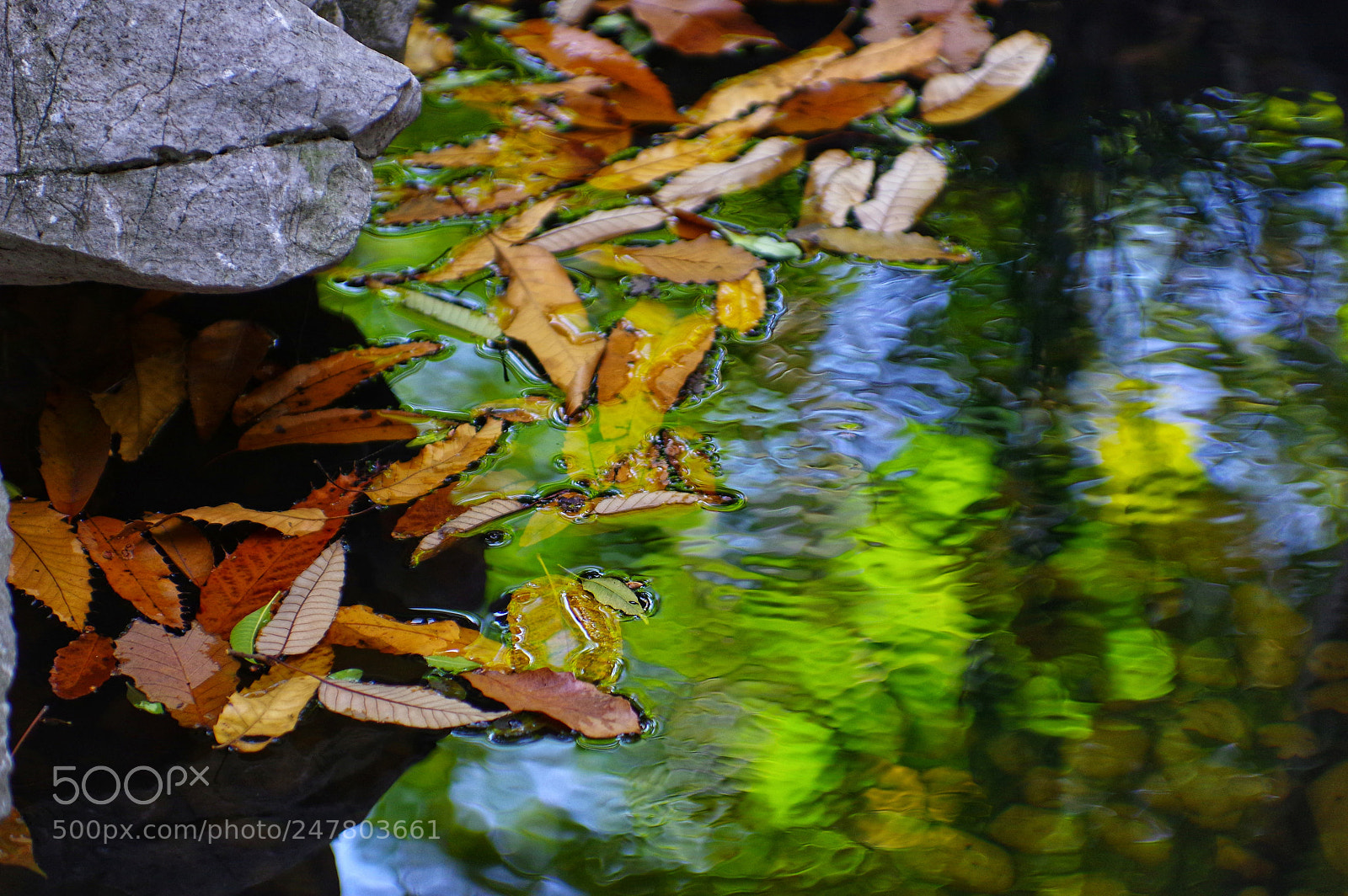 Pentax K-3 II sample photo. Untitled photography