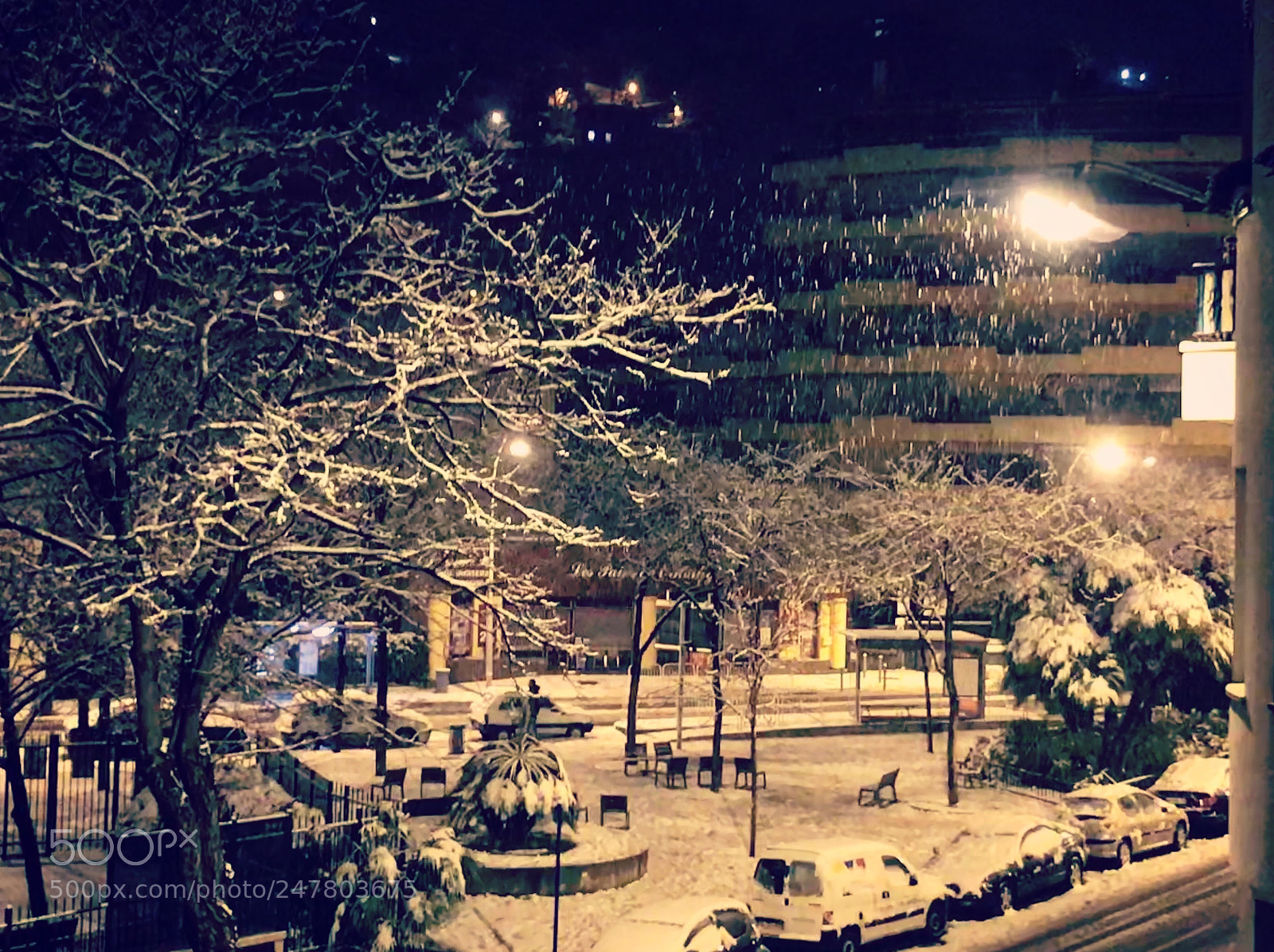 Apple iPhone 7 sample photo. Nice under snow, the photography