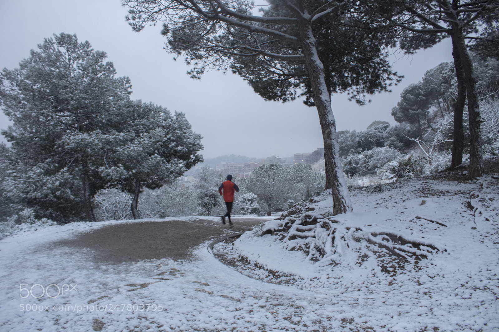Canon EOS 1300D (EOS Rebel T6 / EOS Kiss X80) sample photo. Snowing barcelona 2018 photography