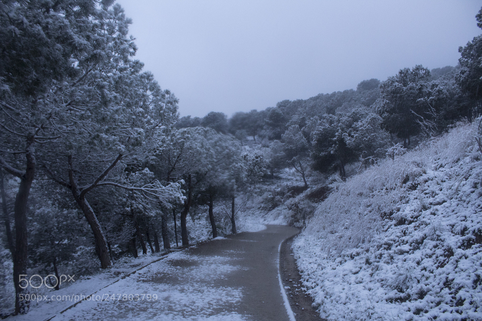 Canon EOS 1300D (EOS Rebel T6 / EOS Kiss X80) sample photo. Snowing barcelona 2018 photography