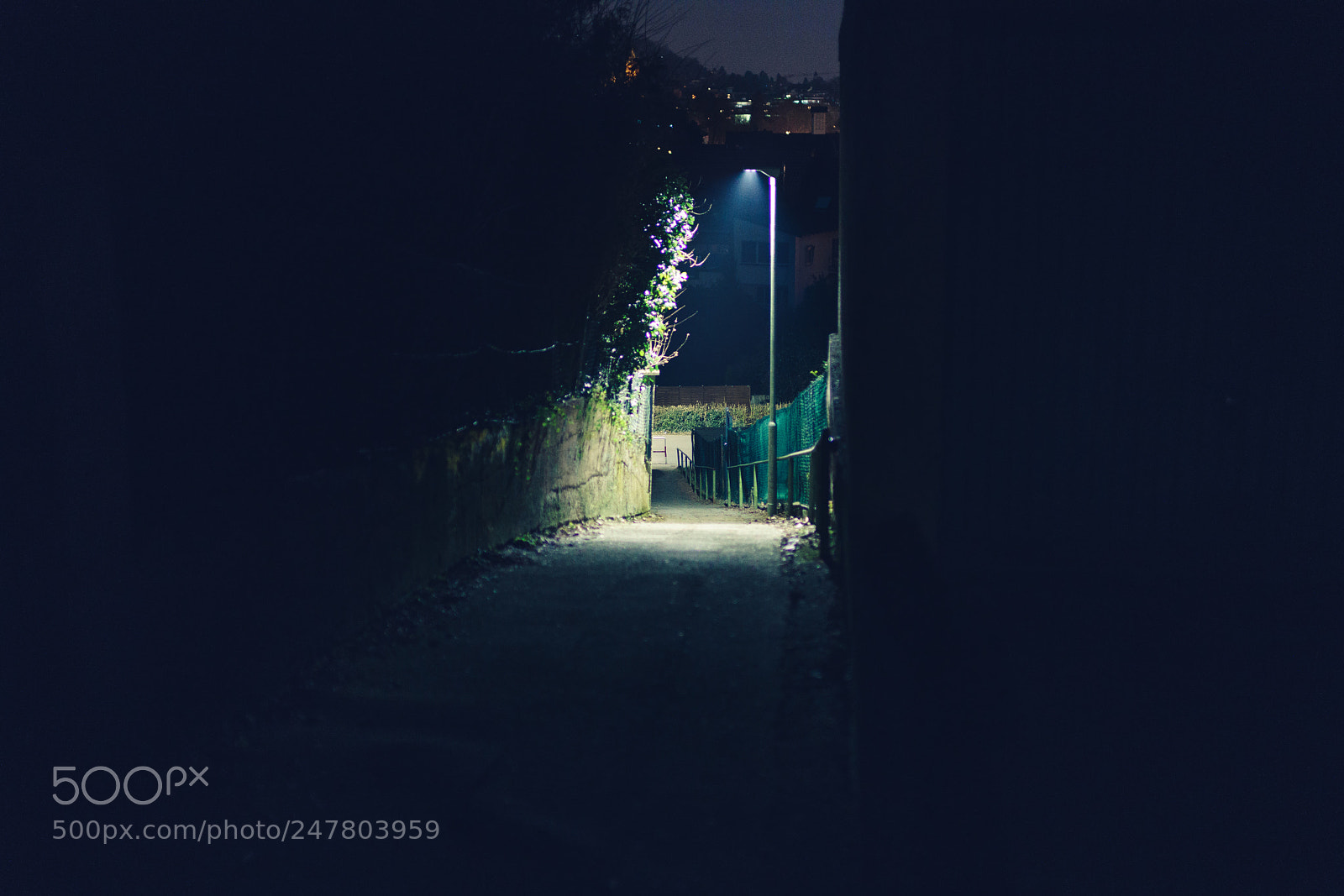 Sony a7R II sample photo. Http://weinheim.photos photography