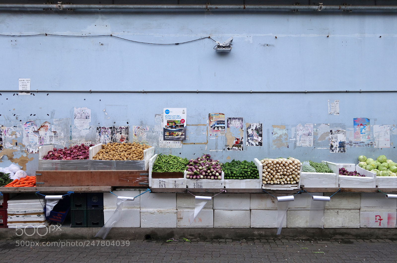 Sony Cyber-shot DSC-RX100 II sample photo. I have a thing photography