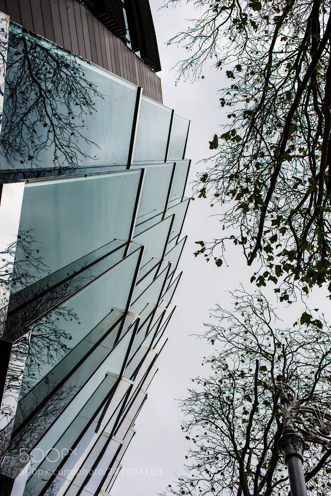 Nikon D600 sample photo. Perspective photography
