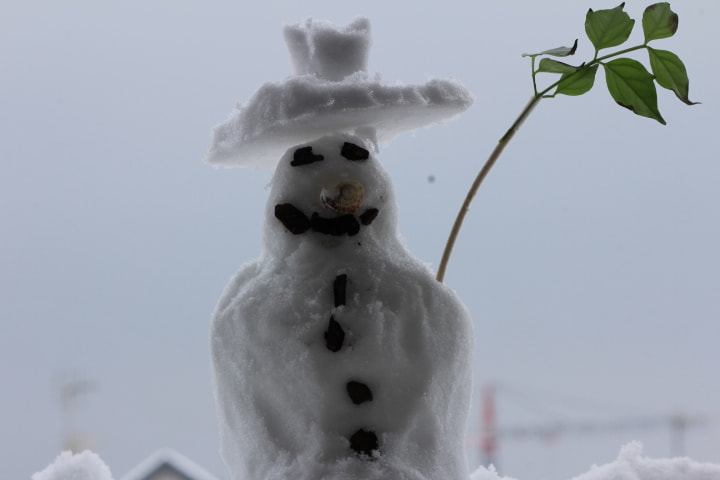 Canon EF-S 55-250mm F4-5.6 IS II sample photo. Little withe friend photography