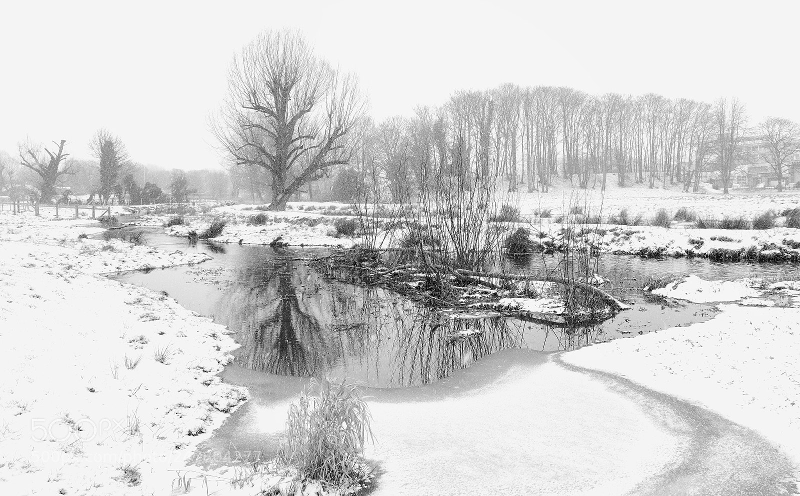 Fujifilm X-T2 sample photo. Snow on bulbourne moor photography