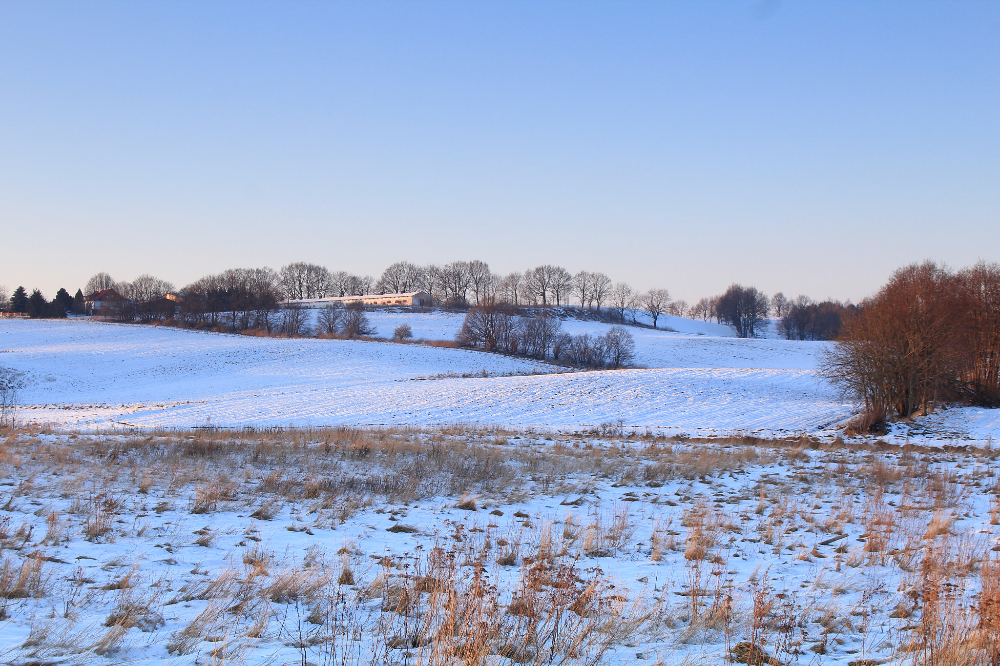 Canon EOS 1200D (EOS Rebel T5 / EOS Kiss X70 / EOS Hi) sample photo. Winter sun photography