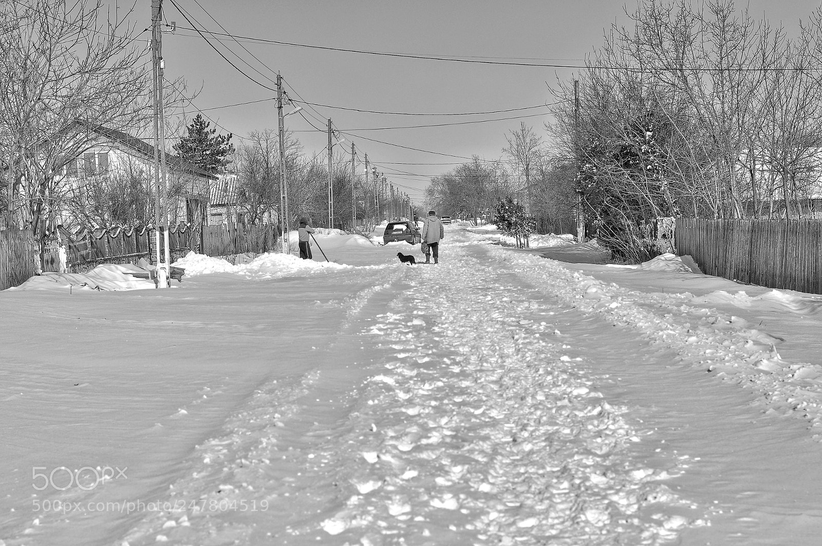 Nikon D5000 sample photo. Untitled photography