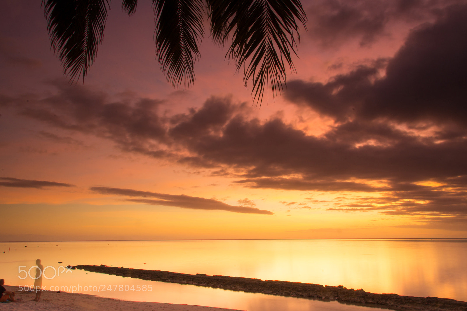 Nikon D7200 sample photo. Golden sunset photography