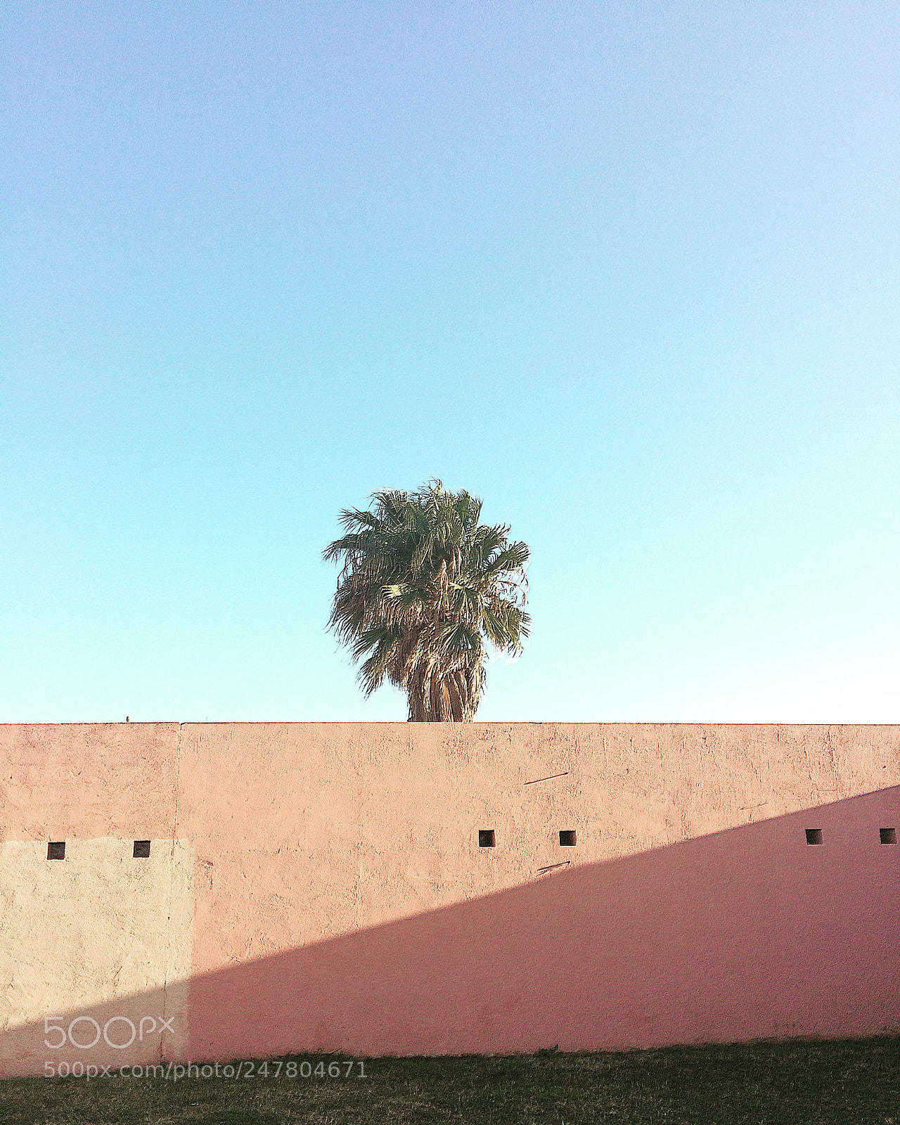 Apple iPhone 5s sample photo. Details of palms photography