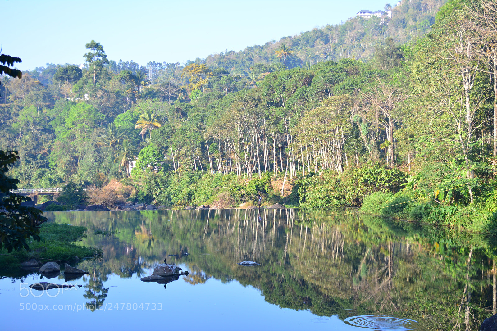 Nikon D5200 sample photo. Munnar lake photography