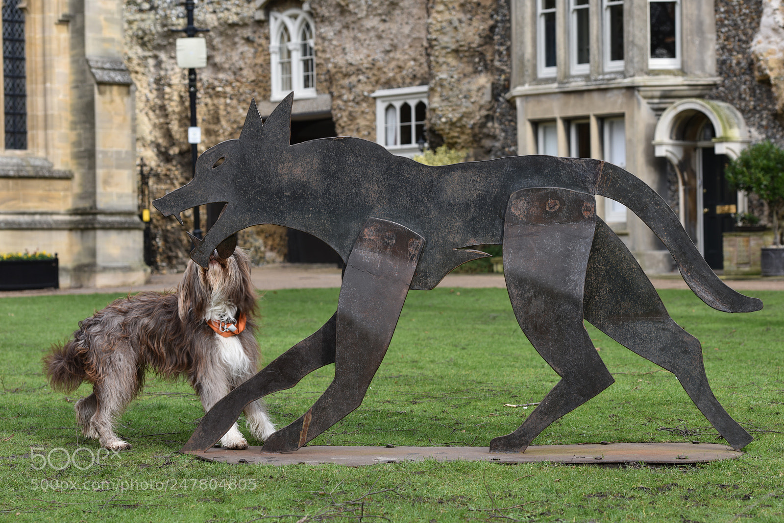 Nikon D810 sample photo. Beasts from east ... photography