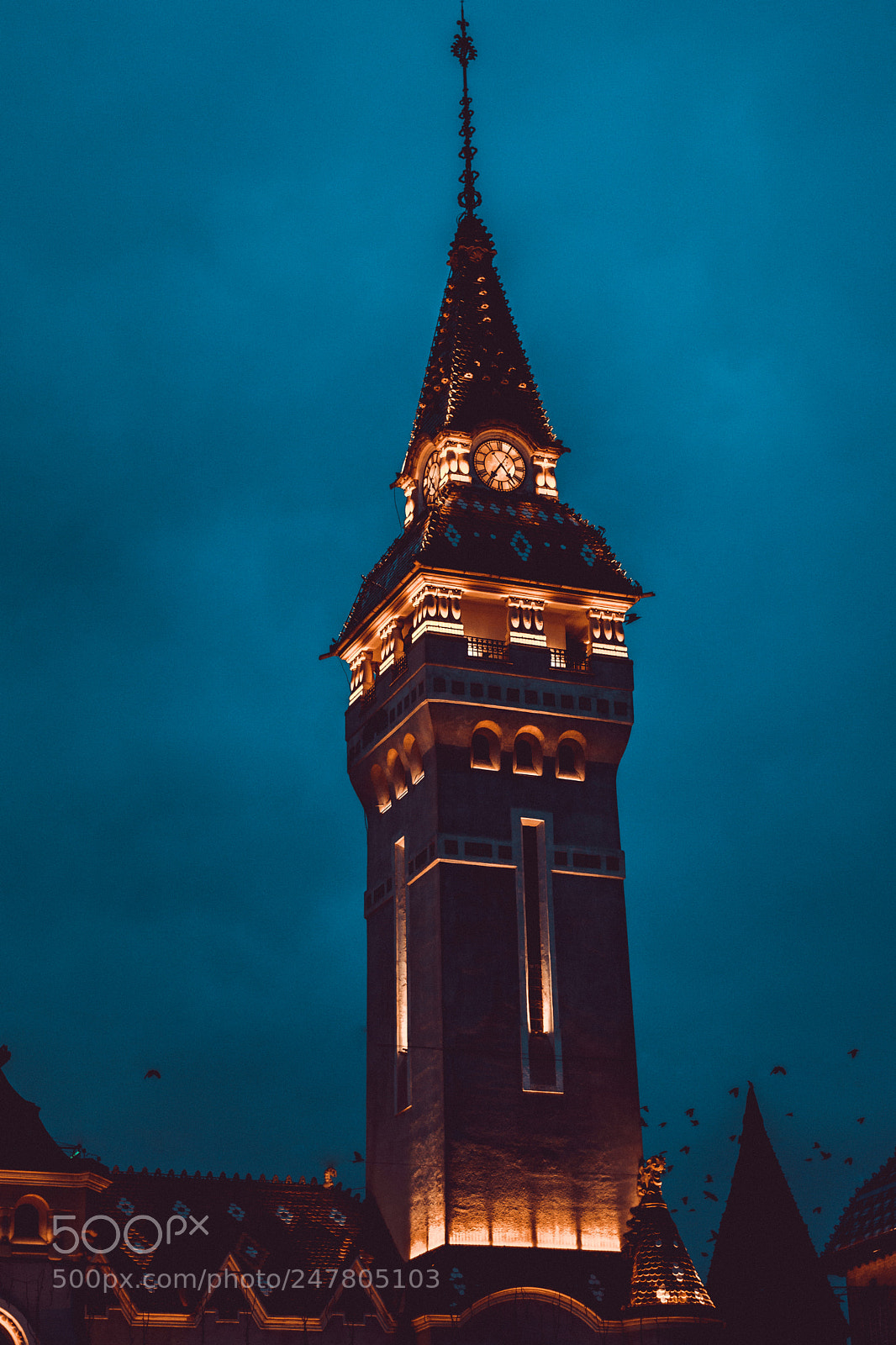 Nikon D5500 sample photo. Lighting up the sky photography