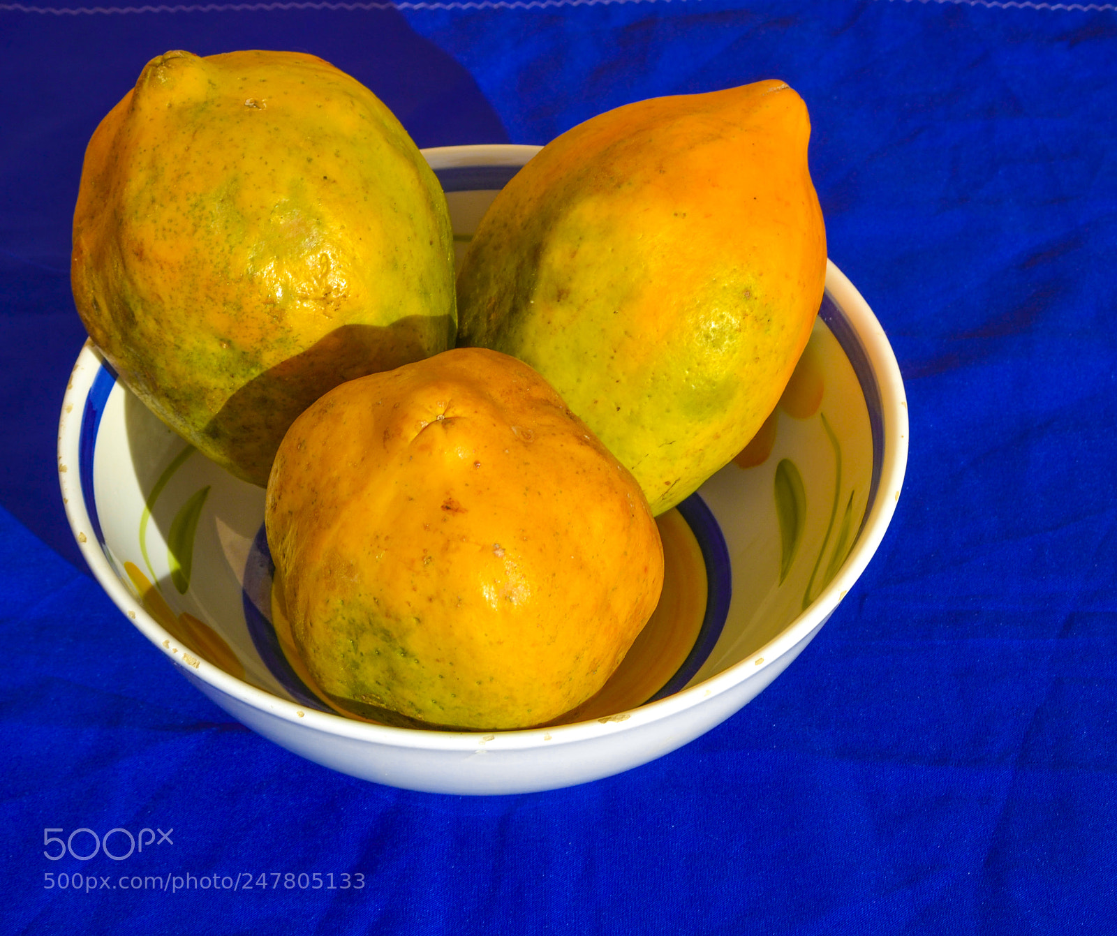 Nikon D3100 sample photo. Untitled photography