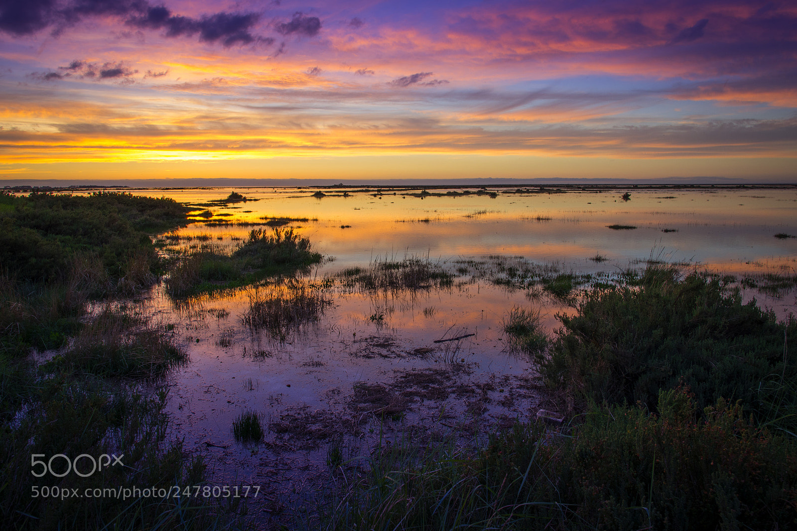 Pentax K-5 sample photo. Stiffkey salt marsh photography