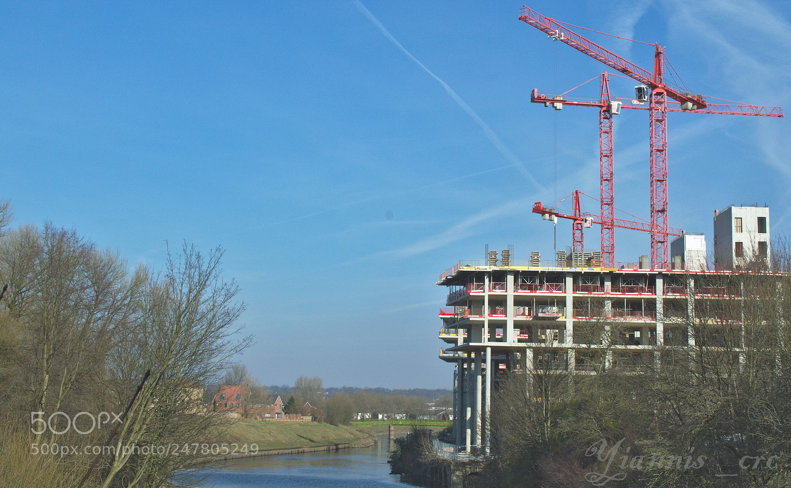 Nikon D3200 sample photo. Red cranes. photography