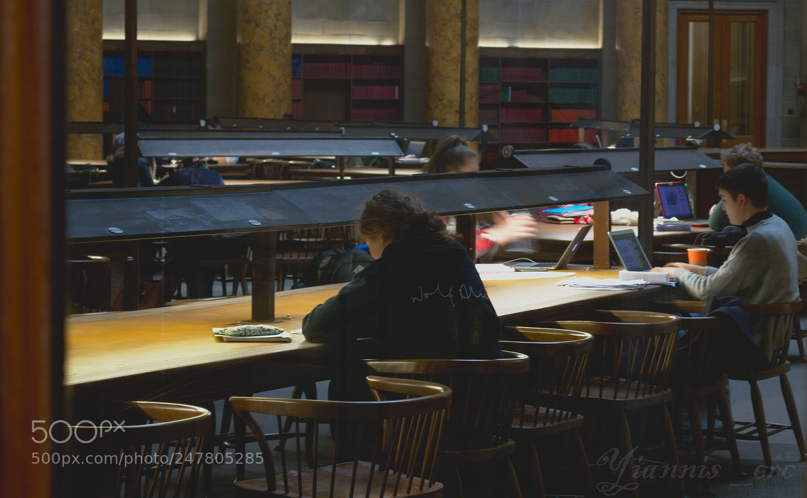 Nikon D3200 sample photo. Studying in library with photography