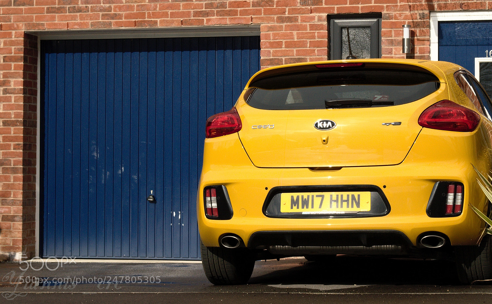 Nikon D3200 sample photo. Blue and yellow. photography