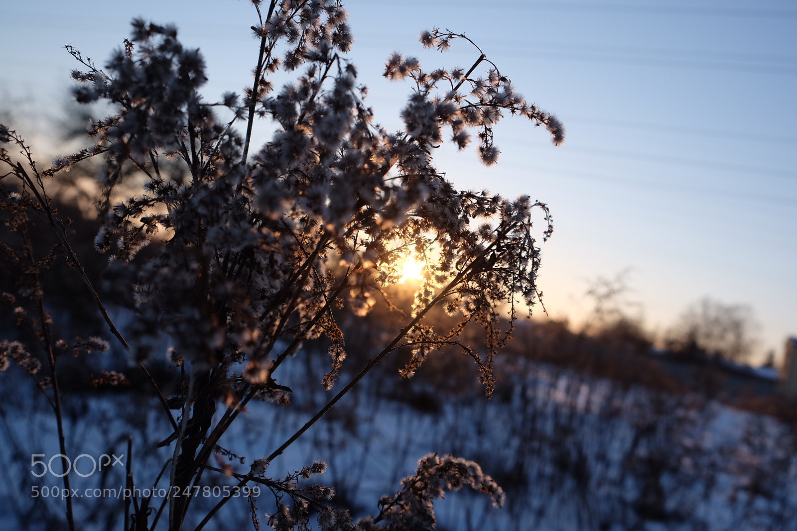 Fujifilm X-T10 sample photo. Follow me for more photography