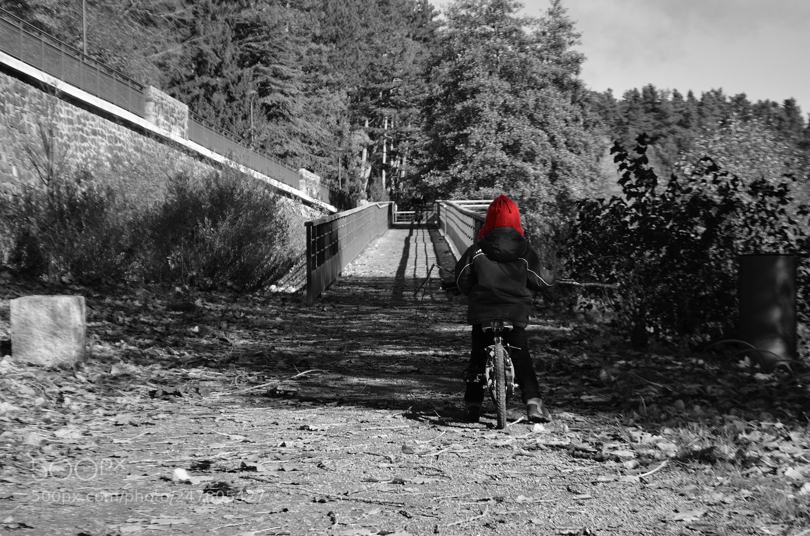 Nikon D5100 sample photo. Red hat photography