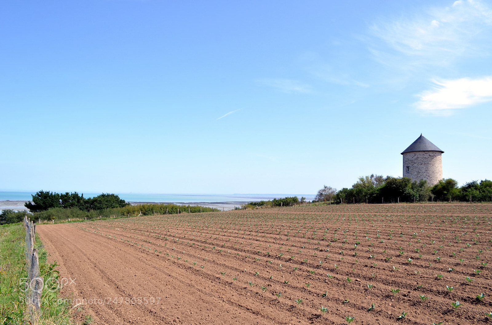 Nikon D5100 sample photo. Field on sea photography
