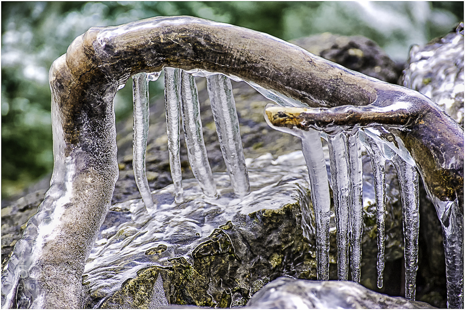 Nikon D610 sample photo. Glacé photography