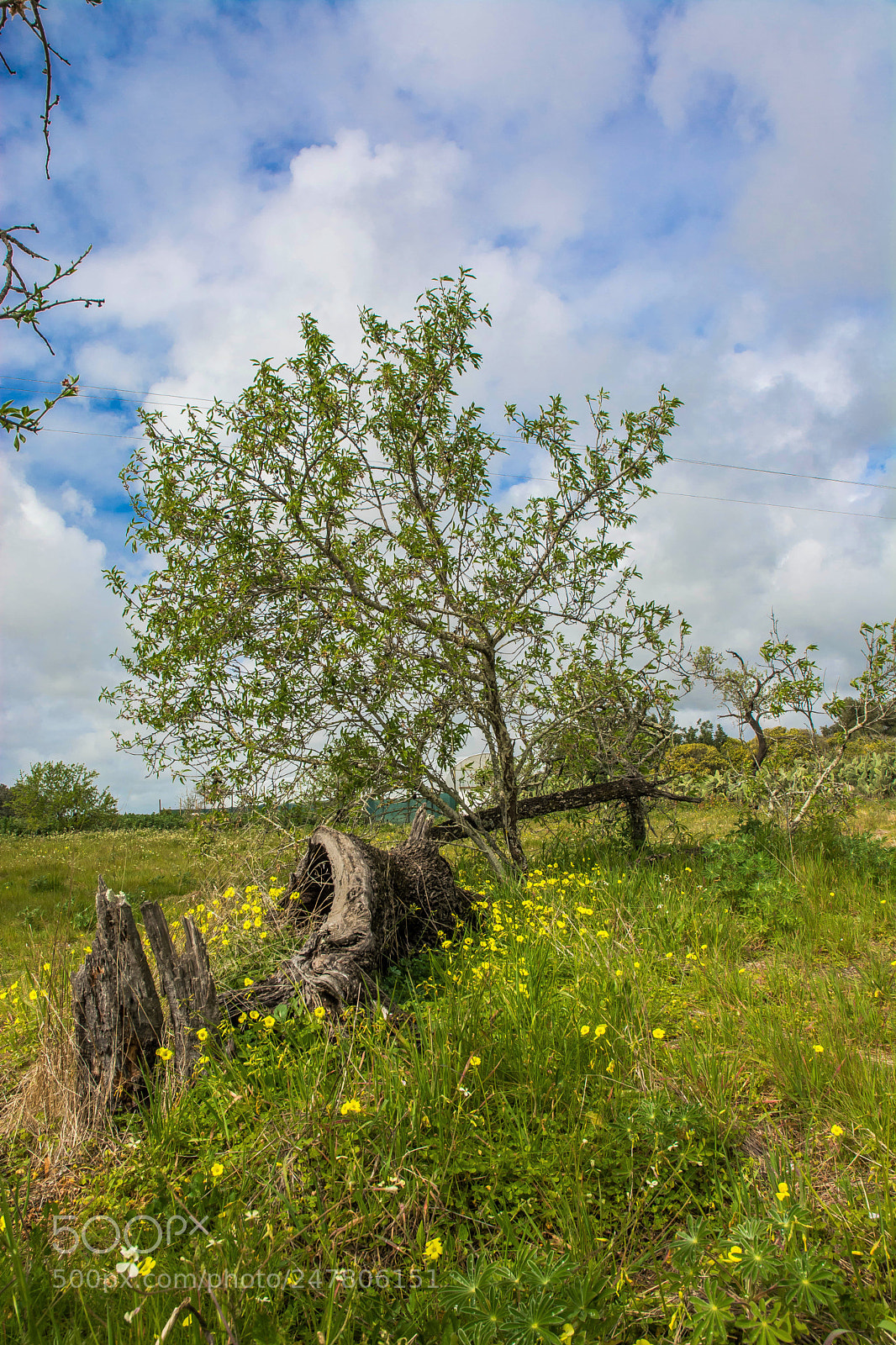 Nikon D5200 sample photo. Portugal landscape photography