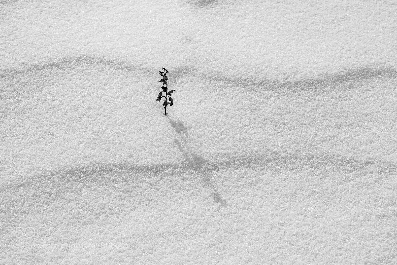 Canon EOS 7D sample photo. Minimalistic photography