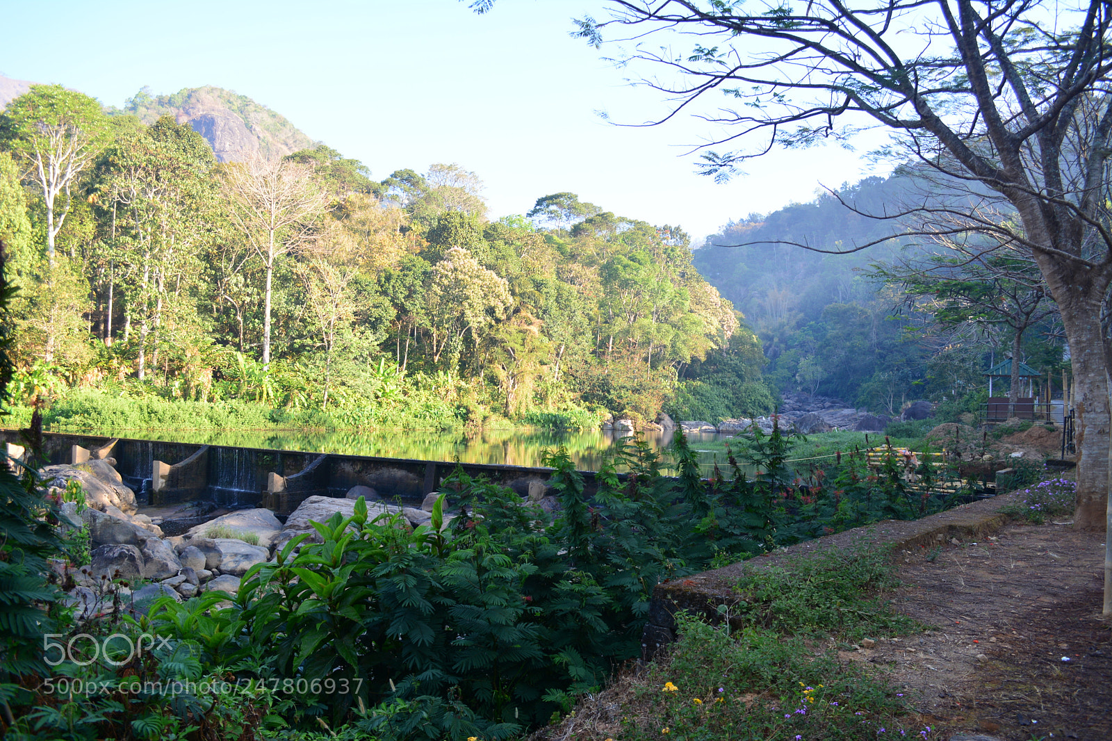 Nikon D5200 sample photo. Munnar wallpaper photography