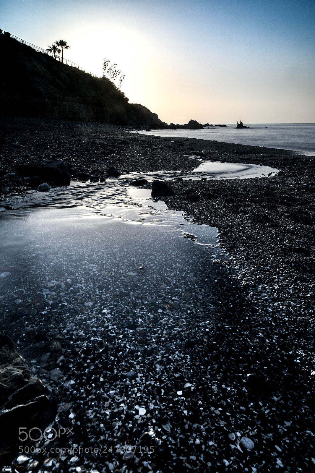 Nikon D500 sample photo. Clear photography