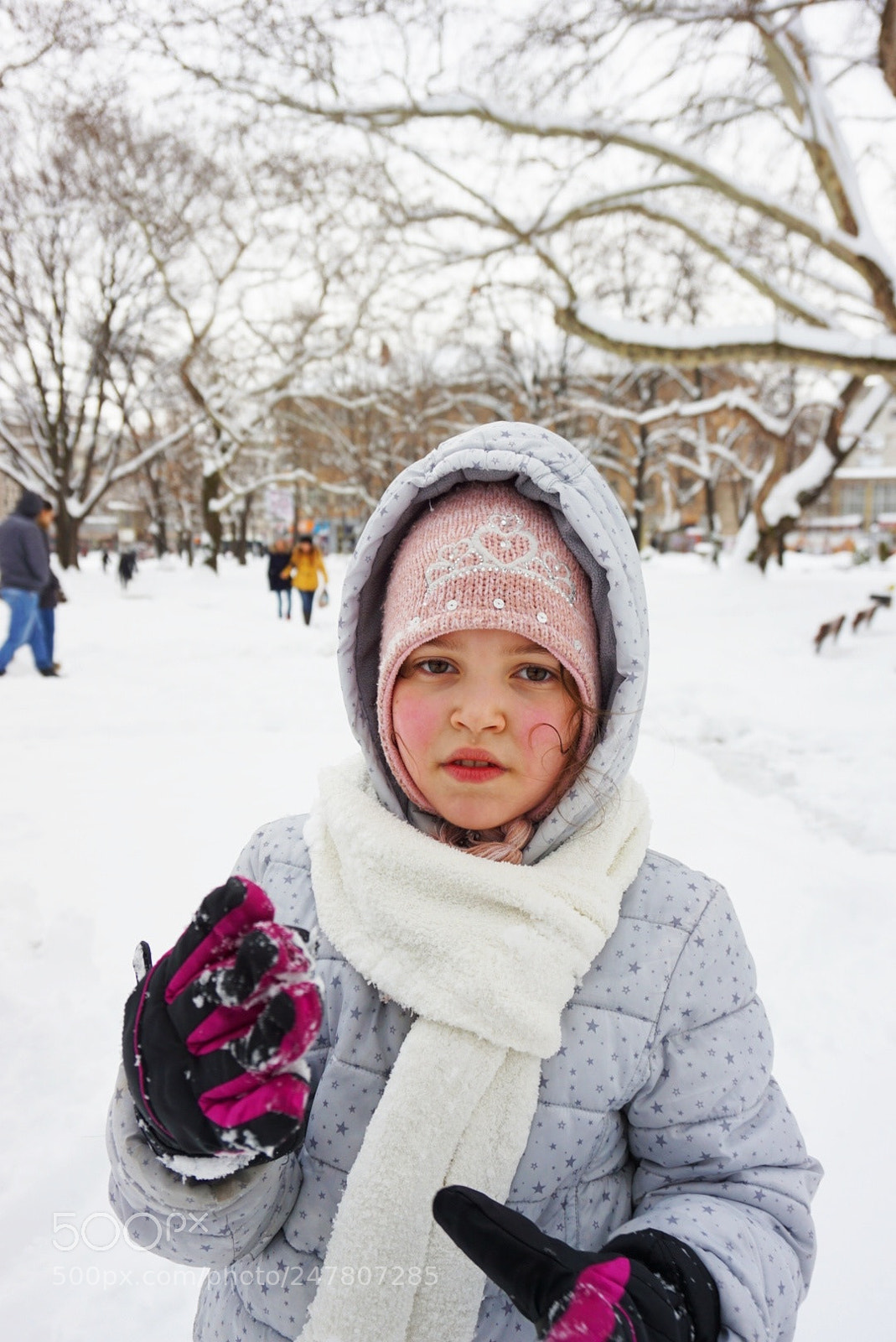 Sony a5100 sample photo. Winter photography
