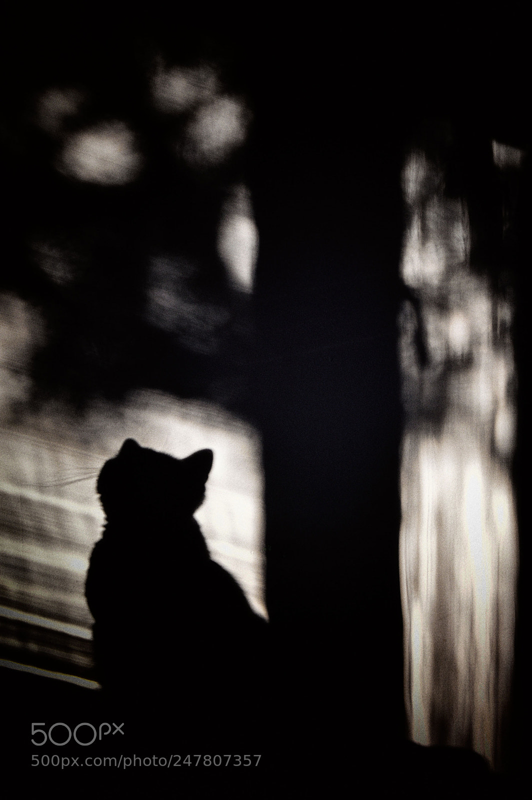Nikon D3200 sample photo. Julia photography