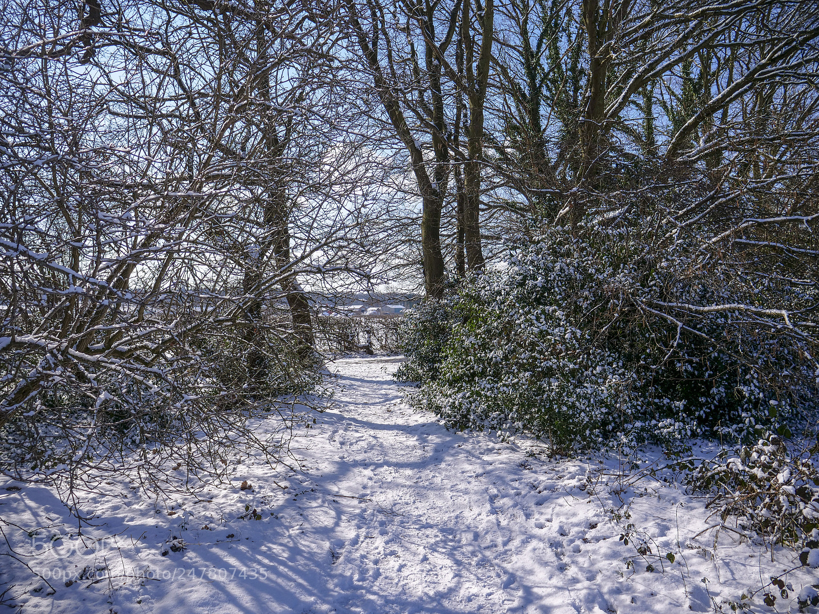 Panasonic Lumix DC-GH5 sample photo. Snowpath photography