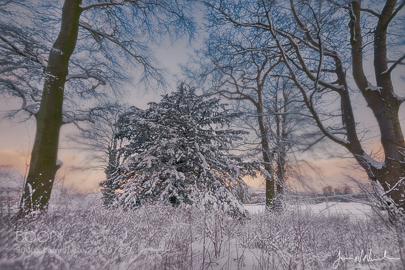 Nikon D800 sample photo. Around the estate on photography
