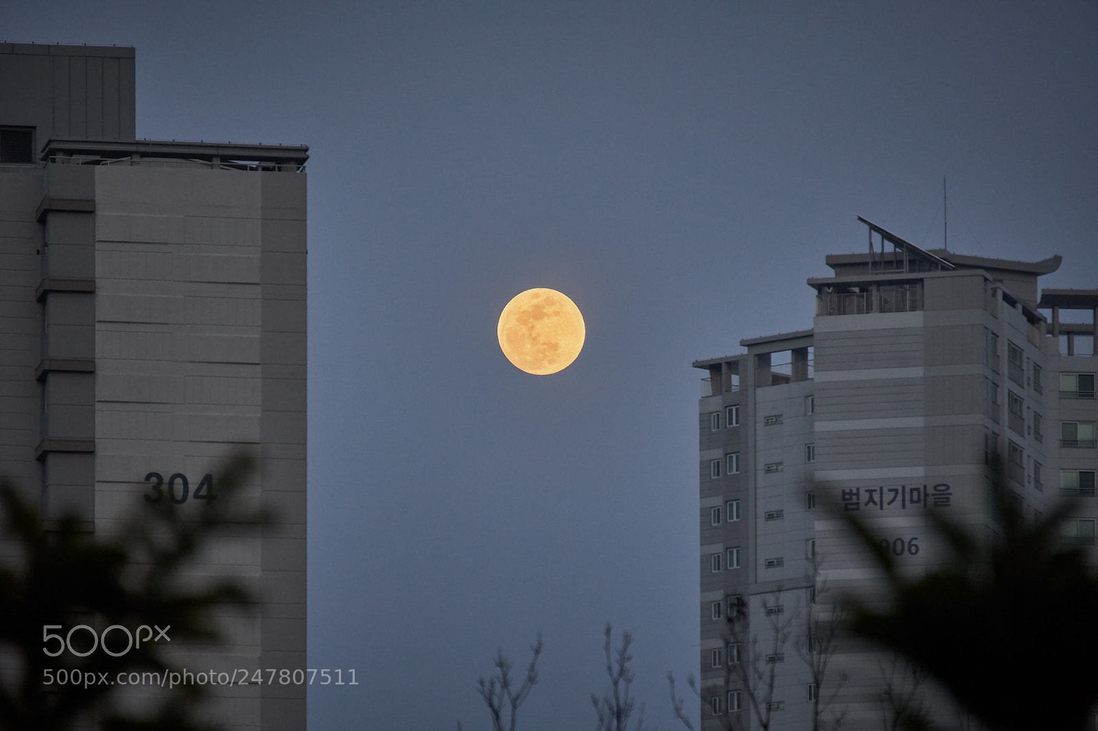 Sony a6300 sample photo. 의미없는 달사진 photography