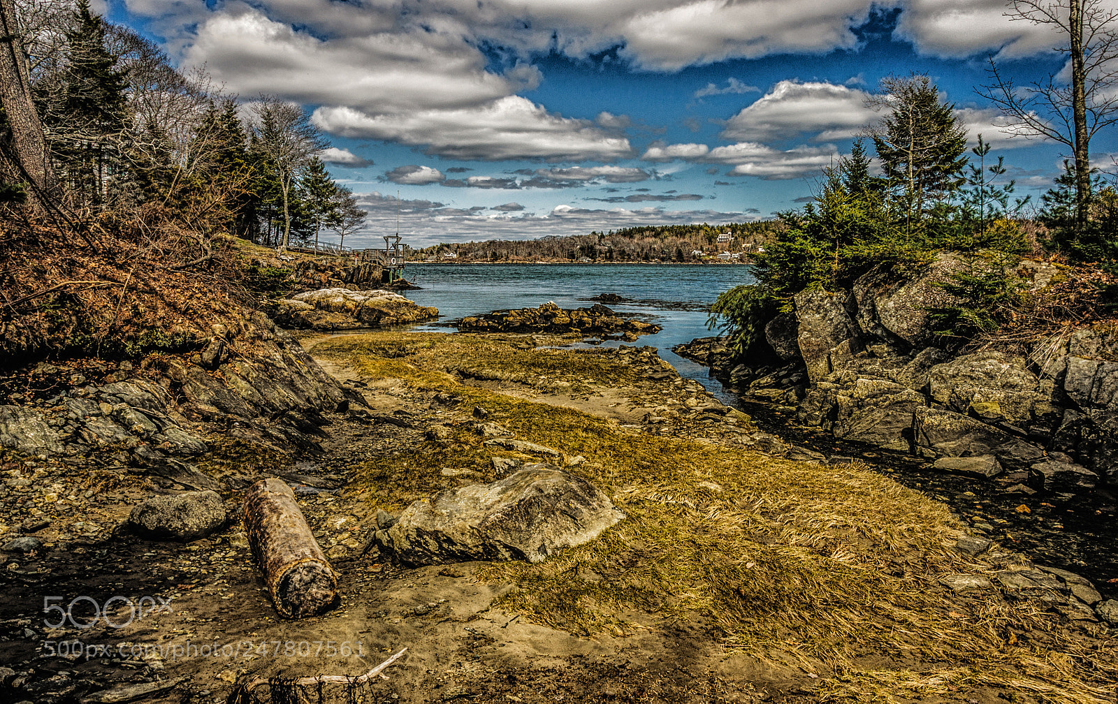 Nikon D90 sample photo. Cove at low tide photography